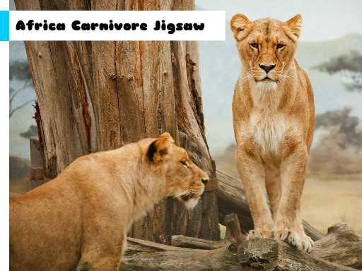 Africa Carnivore Jigsaw
