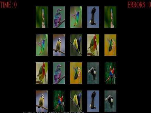 Memorize the Birds