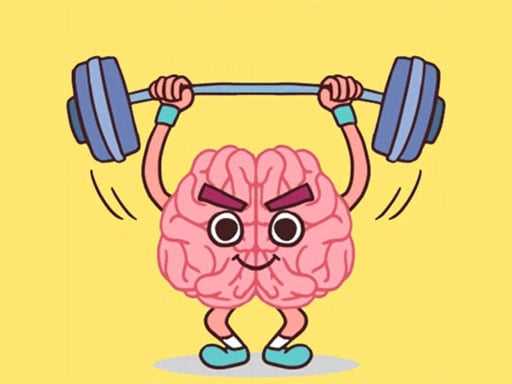 Perfect Brain 3D Puzzle