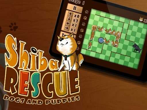 Shiba Rescue  Dogs and Puppies